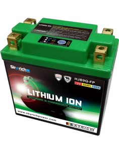SKYRICH Battery Lithium-Ion...