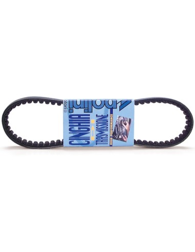 POLINI Standard Transmission Belt