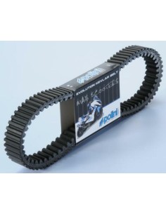 POLINI V-Belt Reinforced...