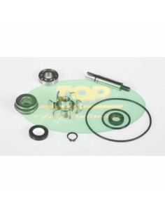 TOP PERFORMANCES Water pump...