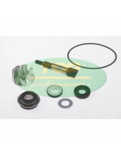 TOP PERFORMANCES Water pump...