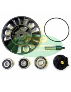 TOP PERFORMANCES Water pump...