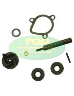 TOP PERFORMANCES Water pump...