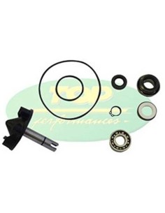 TOP PERFORMANCES Water pump...