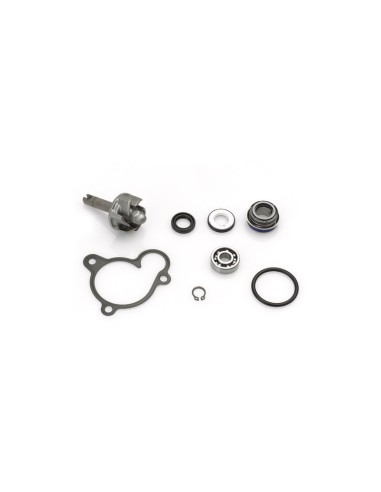 TOP PERFORMANCES Water pump repair kit