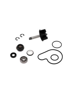 TOP PERFORMANCES Water pump...