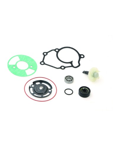 TOP PERFORMANCES Water pump repair kit