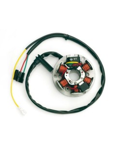 TOP PERFORMANCES Stator -...