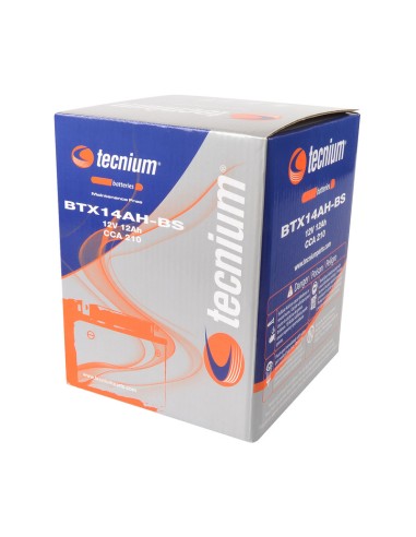 TECNIUM Battery Maintenance Free with...
