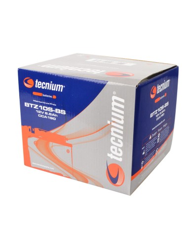 TECNIUM Battery Maintenance Free with...