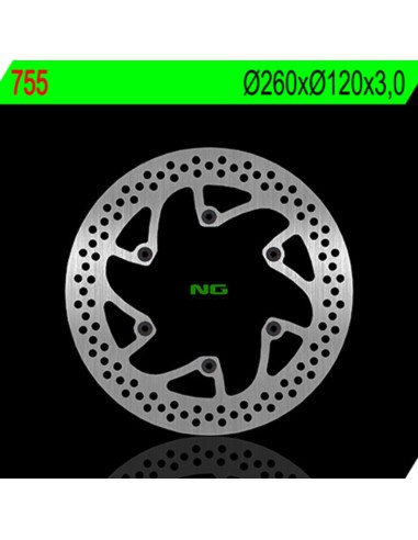 NG BRAKES Fix Brake Disc - 755