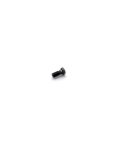 SPEEDBRAKES Aluminium banjo bolt M10x1.25, anthracite