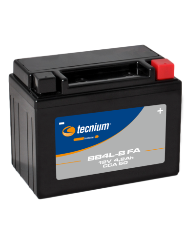 TECNIUM Battery Maintenance Free Factory Activated - BB4L-B