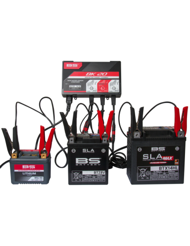 BS BATTERY BK20 Smart Battery Charger -6V/12V 3x2A