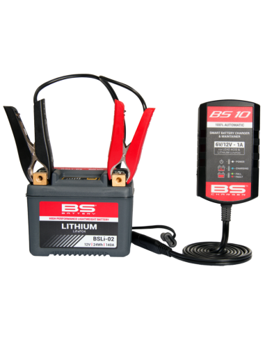BS BATTERY BS10 Smart Battery Charger...