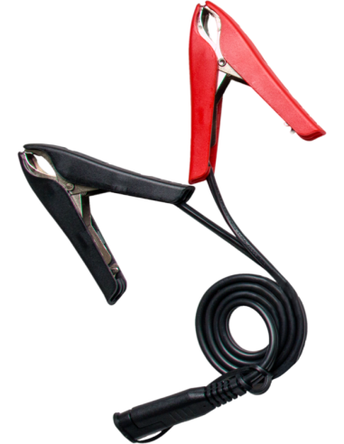 BS BATTERY BS10 Smart Battery Charger...