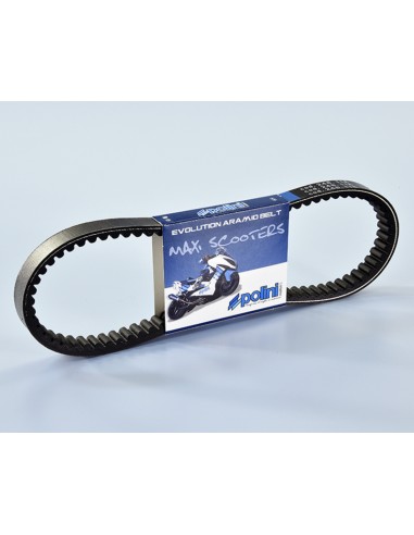 POLINI Transmission Belt - Maxi-Scooters