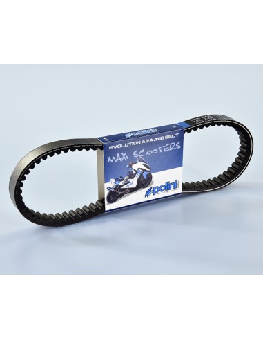 POLINI Kevlar Reinforced Transmission Belt