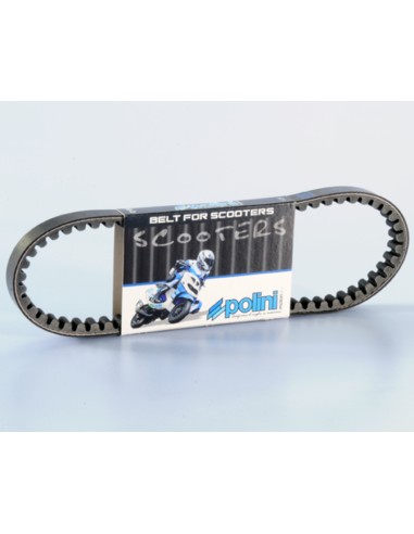 POLINI Standard Transmission Belt