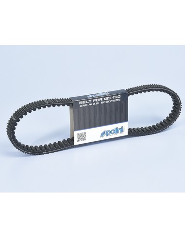 POLINI Transmission Belt