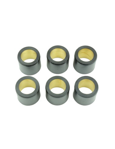 ATHENA Variator Rollers 25x22,2mm 20gr - Set of 6