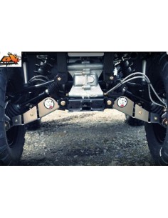 AXP Rear A-Arm protection -...