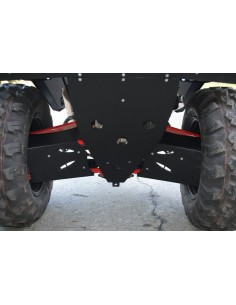 AXP Rear A-Arm protection -...