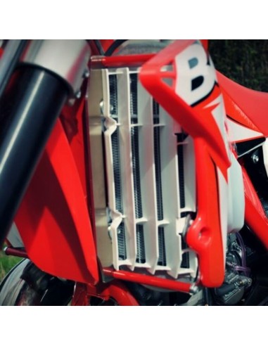 AXP Aluminium Radiator guard - Beta