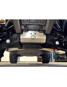 AXP Front A-Arm protection...