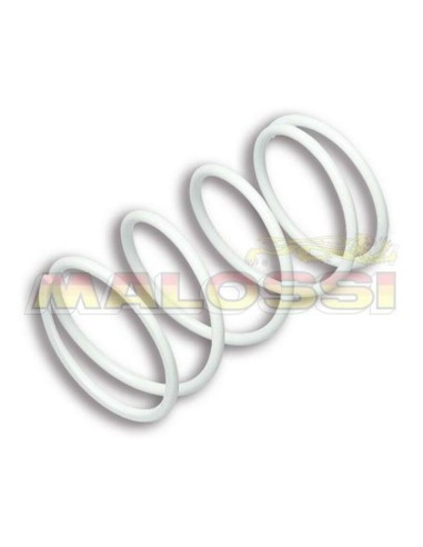 MALOSSI Heavy-duty Compression Spring