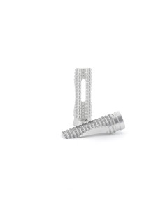 V PARTS Evo 2 Foot Pegs...