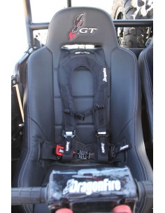 DRAGONFIRE Evo Harness Black