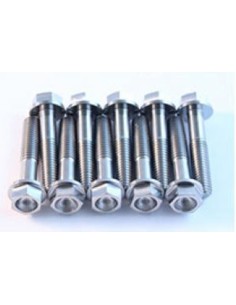 SCAR Titanium Screw Kit for...