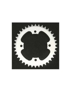 BIHR Steel Standard Rear...