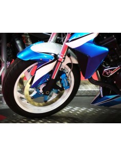 Etrier de frână radial... 2