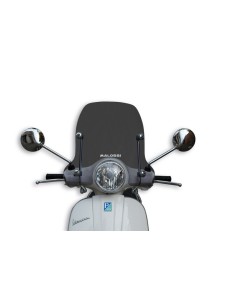 MALOSSI Sport Windscreen -...