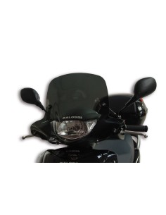 MALOSSI Sport Windscreen -...