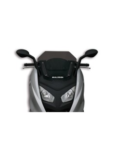 MALOSSI Sport Windscreen -...