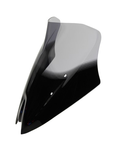 MRA Racing NRM Windscreen - BMW G 310 R