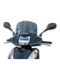 MALOSSI Sport Windscreen -...