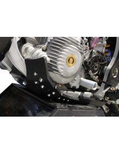 AXP Enduro Xtrem Skid plate... 2