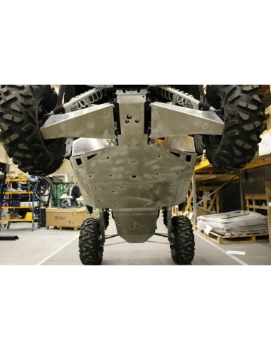 SARRAZIN Complete Frame Protection...