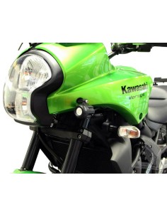 DENALI D2 & DM Light Mount...