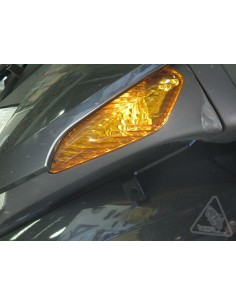 DENALI DM & D2 Light Mount...