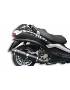 MALOSSI Wild Lion Full...