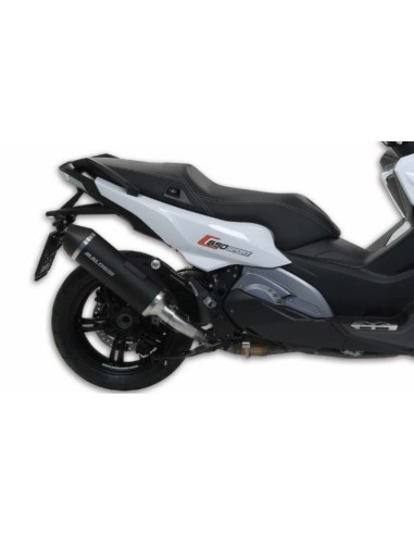 Toba de zgomot MALOSSI Wild Lion - Metal magic Carbon BMW C650 Sport