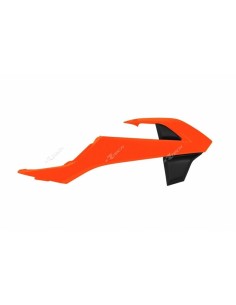 Capace radiator RACETECH...