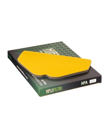 HIFLOFILTRO Air Filter - HFA2909