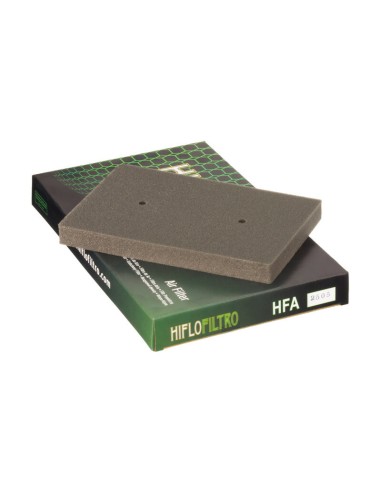 HIFLOFILTRO Air Filter - HFA2505