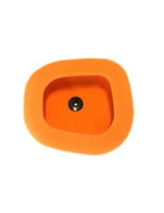 TWIN AIR Air Filter - 151124 2